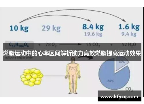 燃脂运动中的心率区间解析助力高效燃脂提高运动效果