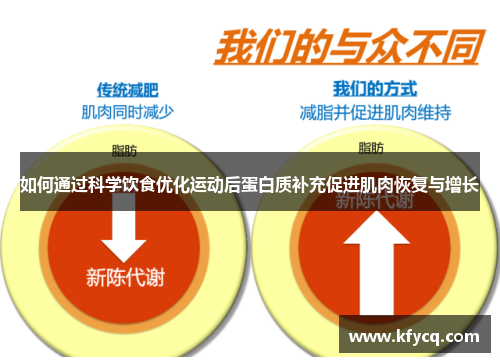 如何通过科学饮食优化运动后蛋白质补充促进肌肉恢复与增长