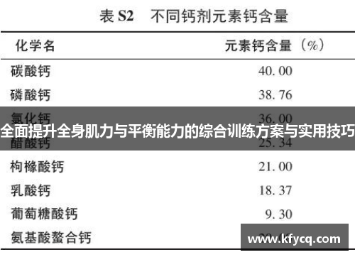 全面提升全身肌力与平衡能力的综合训练方案与实用技巧