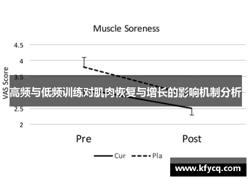 高频与低频训练对肌肉恢复与增长的影响机制分析